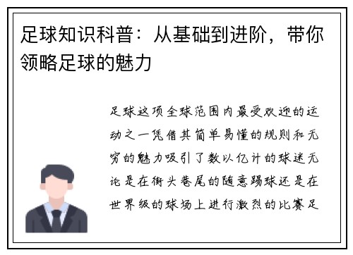 足球知识科普：从基础到进阶，带你领略足球的魅力