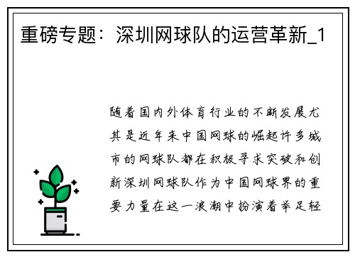 重磅专题：深圳网球队的运营革新_1